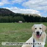 אכסניה Michalowka I *