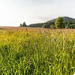 Michalowka I *