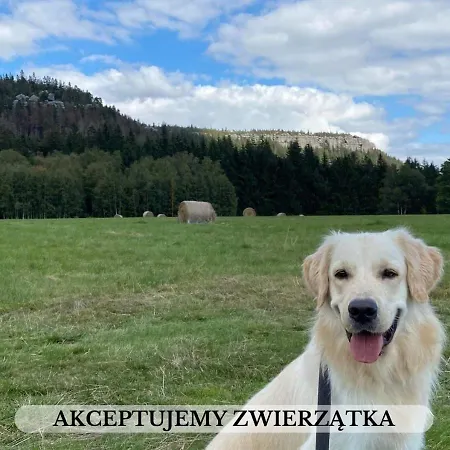 Деревянный коттедж Michalowka I *