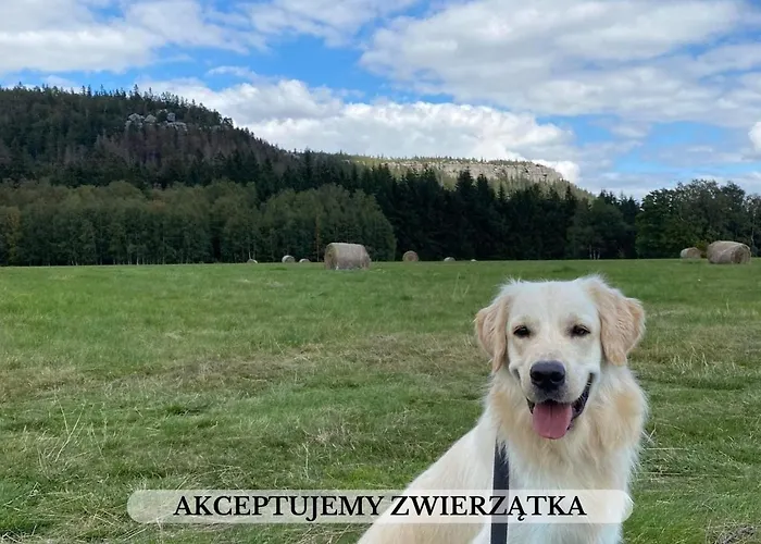 롯지 Michalowka I *